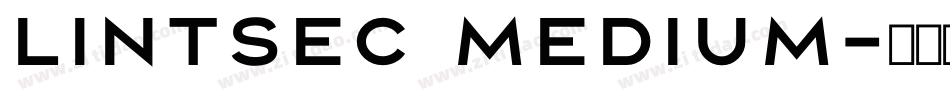Lintsec Medium字体转换